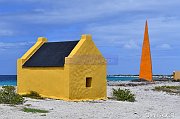 Paysages Landscapes